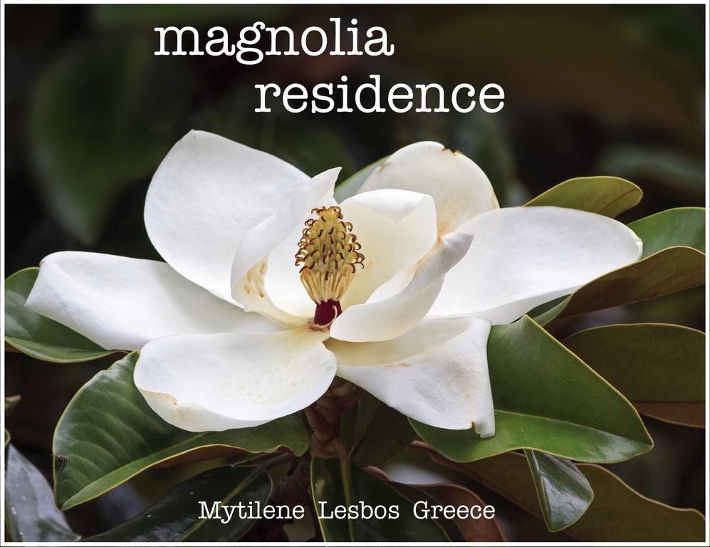 Magnolia Residence Mytilíni Buitenkant foto